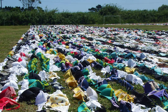 Risultati immagini per reggiseni appesi
