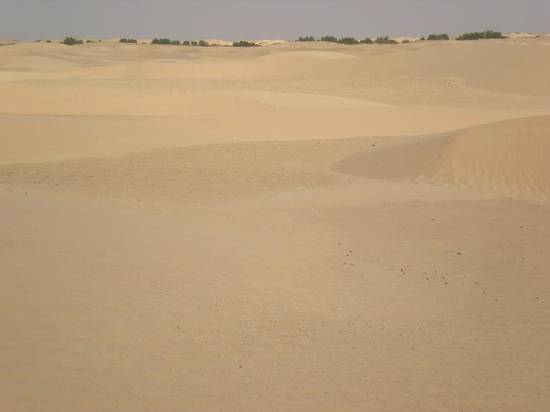 Sahara tunisino