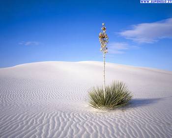 deserto_39