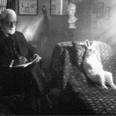 L'occhio del coniglio di Freud