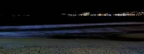 la spiaggia di notte