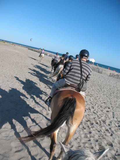 a cavallo in Camargue