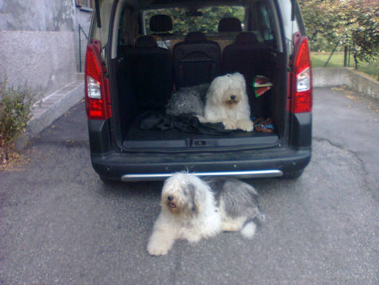 Bimba e Kelpy