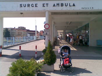 surge et ambula