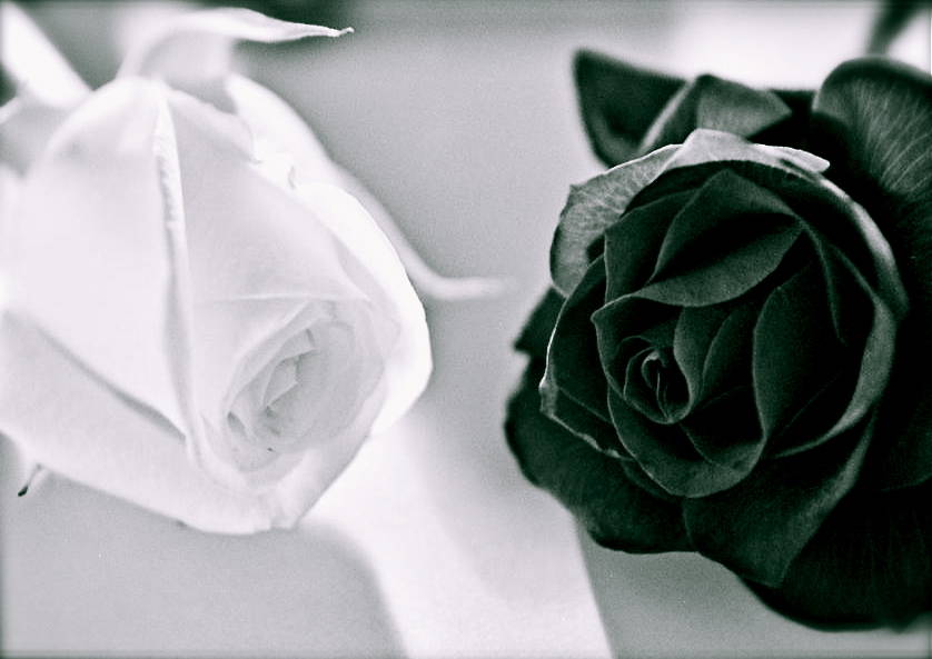 I FILM PIÙ EROTICI MASSAGGI ESOTICI Eros per donne lovepedia login