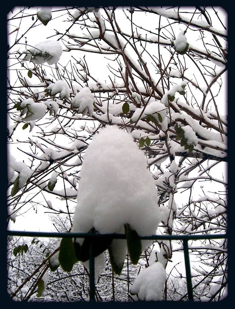 foto di Elisabetta Neri