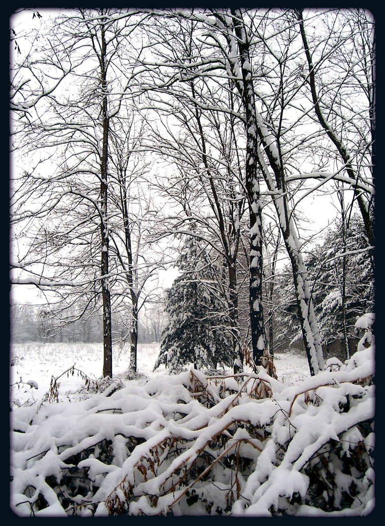 foto di Elisabetta Neri