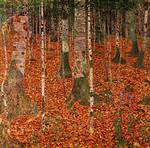 Birch Forest - originale di Kl