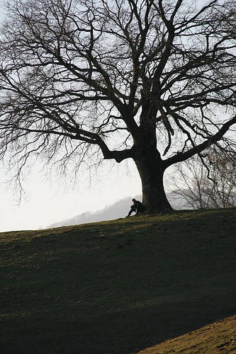 quercia uomo