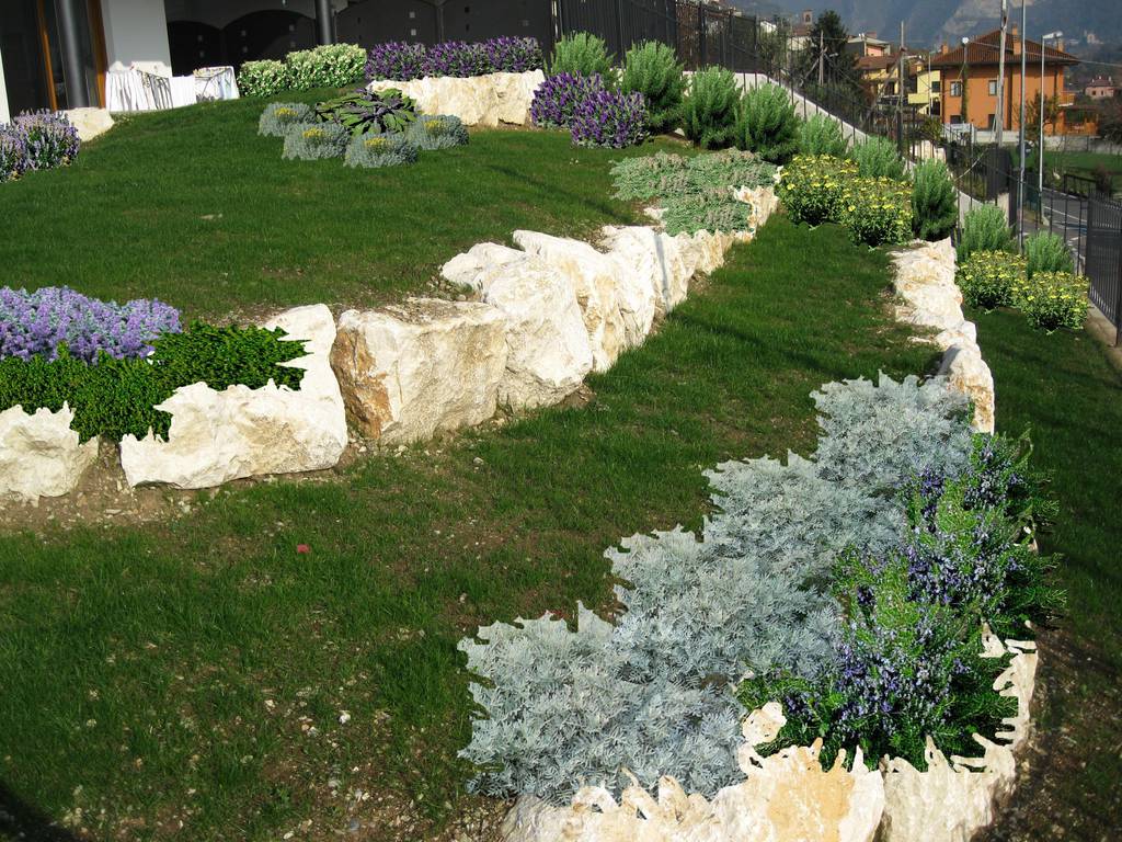 Progetto giardino gratis: giardino roccioso con laghetto e cascata ...