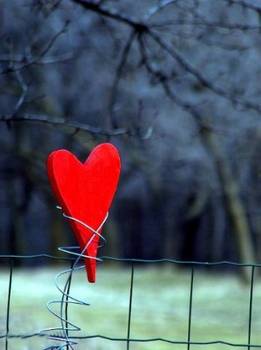 cuore solitario