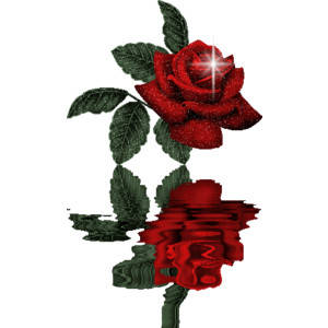 2 rose