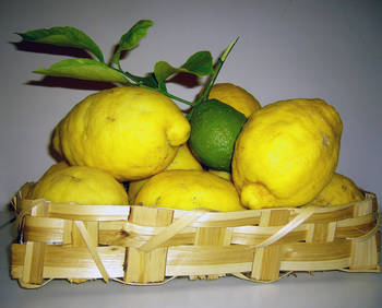 limoni di Procida