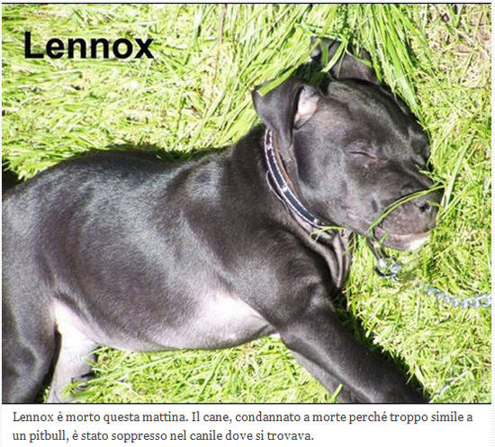 LENNOX