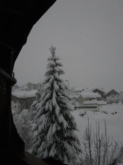 neve gennaio 14 014