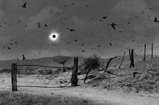 Antonio Turok eclipse web[1]