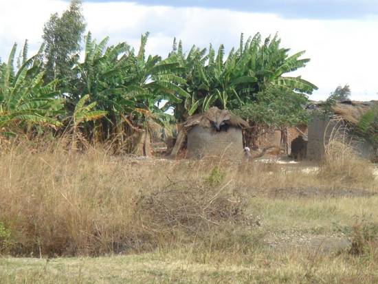 Villaggio in Malawi