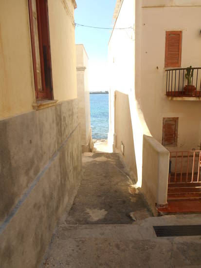 Sicilia occidentale, terra, mare, natura e cultura - Pagina 26 B3cadc3d32_7822110_med