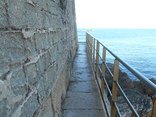 Sicilia occidentale, terra, mare, natura e cultura - Pagina 26 B3cadc3d32_7822122_med