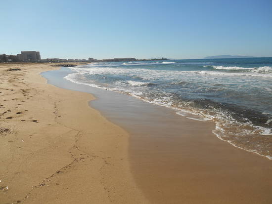 Sicilia occidentale, terra, mare, natura e cultura - Pagina 26 B3cadc3d32_7822123_med
