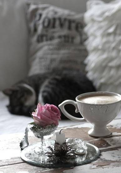 Un Caffe E Piu Buono Con Un Fiore Accanto Su Amosolofresie