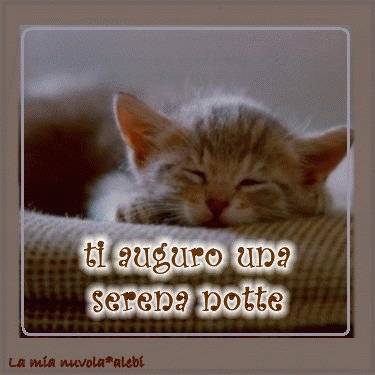 Immagini Buona Notte Buon Giorno E Diario Di Gabriella