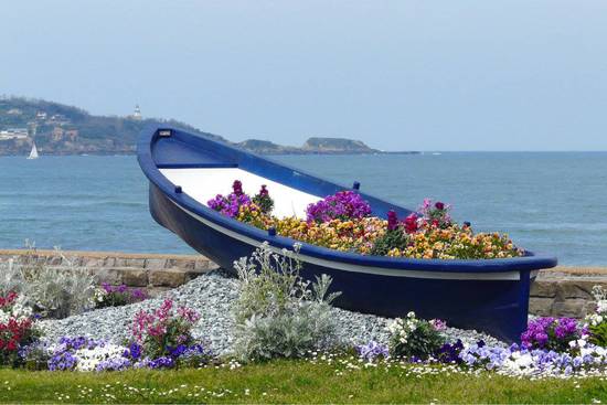 mare, barca, fiori.
