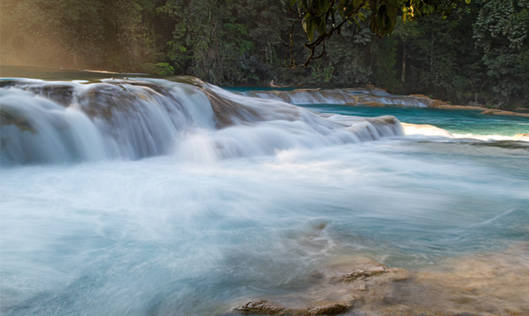 Agua Azul waterfalls - Messico