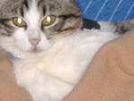 DSCF0892