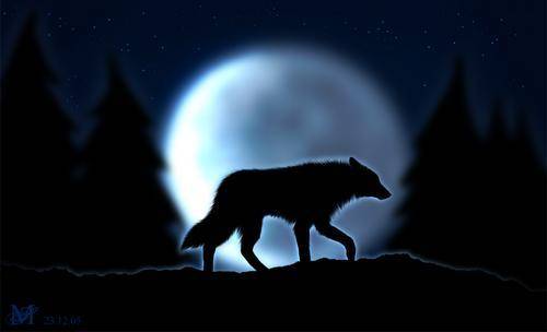 lupo e luna2
