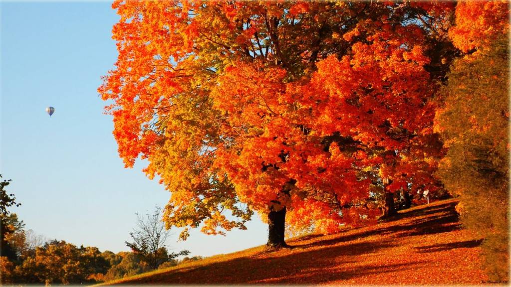 Natura_colori_d_autunno